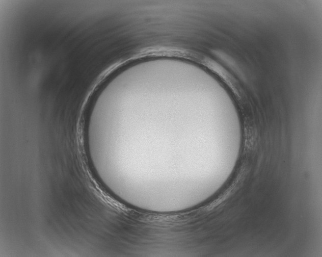 X0000083651074200702120830