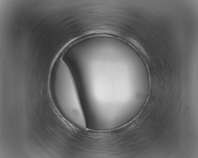 X0000083651076200702120830