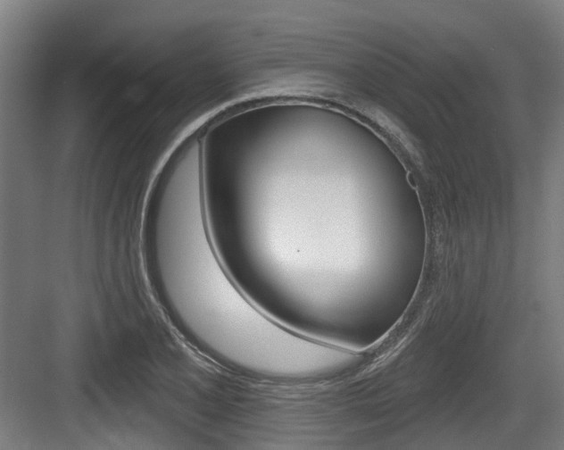 X0000083651077200702120830