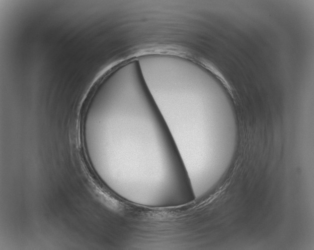 X0000083651079200702120830