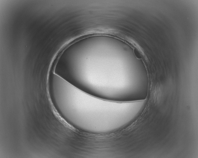 X0000083651080200702120830
