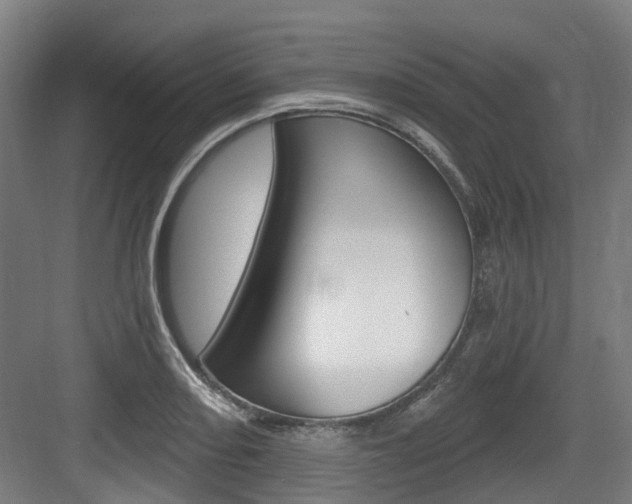 X0000083651082200702120830