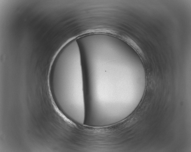 X0000083651084200702120830