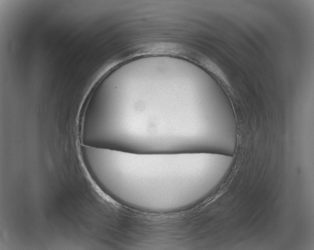 X0000083651087200702120830