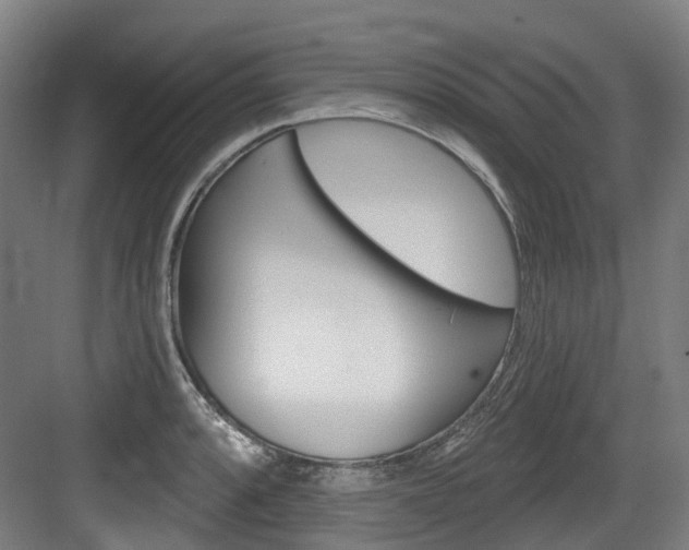 X0000083651088200702120830