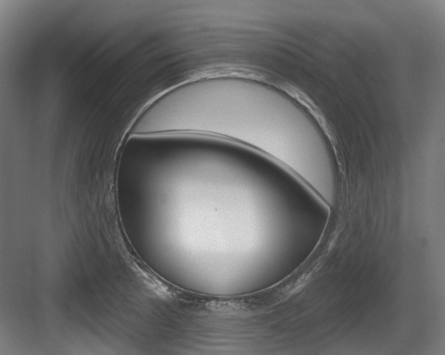 X0000083651089200702120830