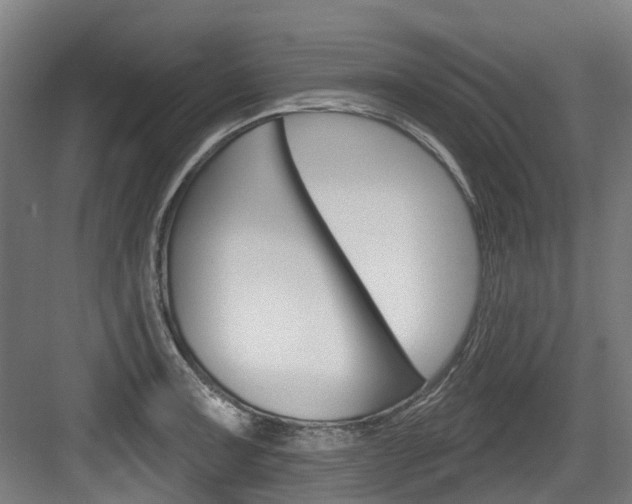 X0000083651091200702120830