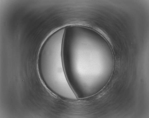 X0000083651093200702120830