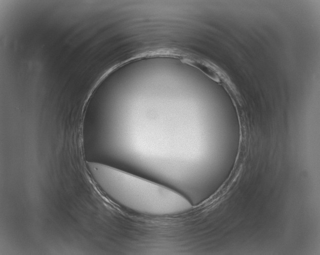 X0000083651097200702120830