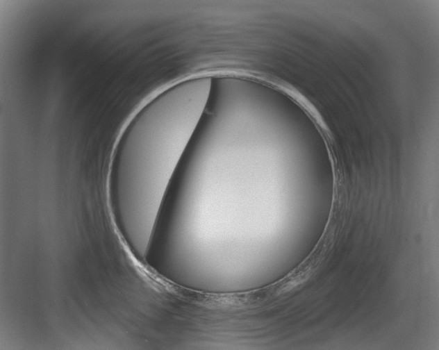 X0000083651101200702120830