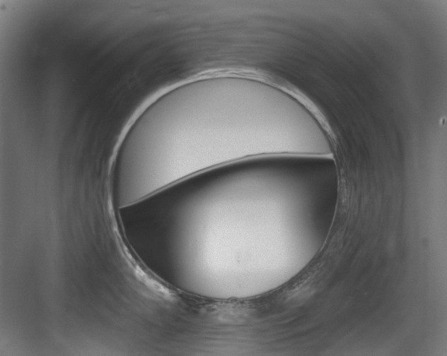 X0000083651102200702120830