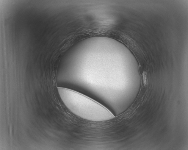 X0000083651107200702120829