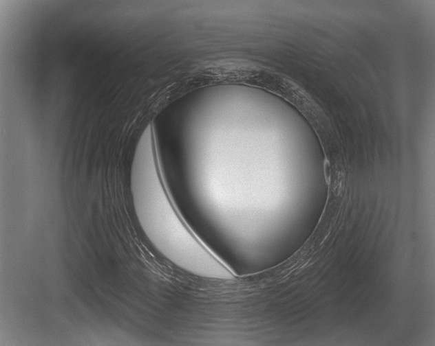 X0000083651108200702120829