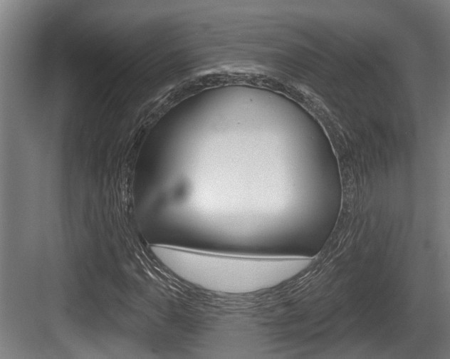 X0000083651110200702120829