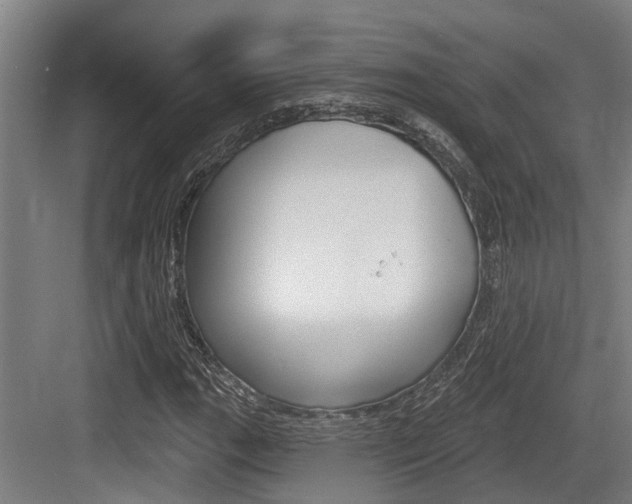 X0000083651111200702120829