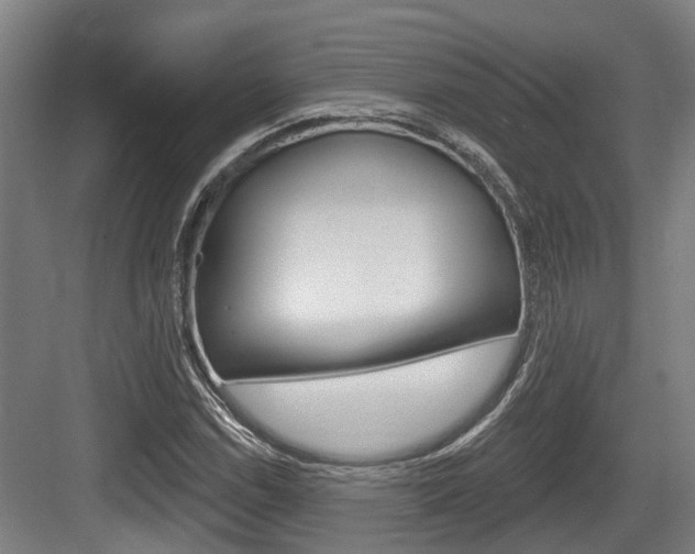 X0000083651114200702120829
