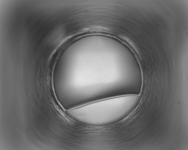 X0000083651115200702120829