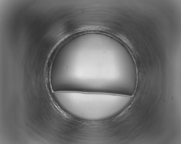 X0000083651119200702120829