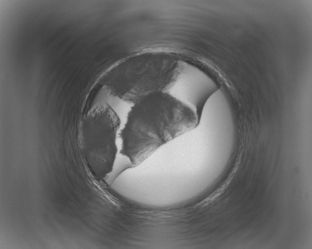 X0000083651121200702120829