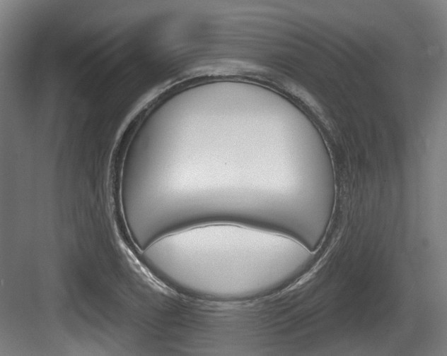 X0000083651122200702120829