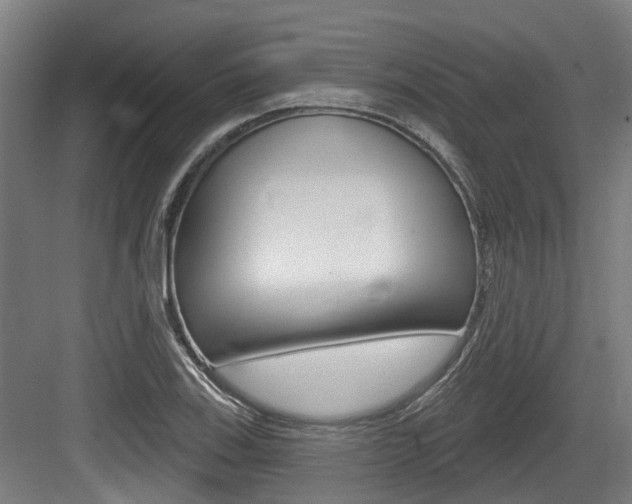 X0000083651123200702120829