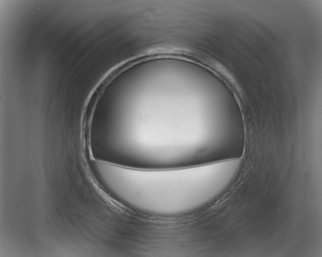 X0000083651124200702120829