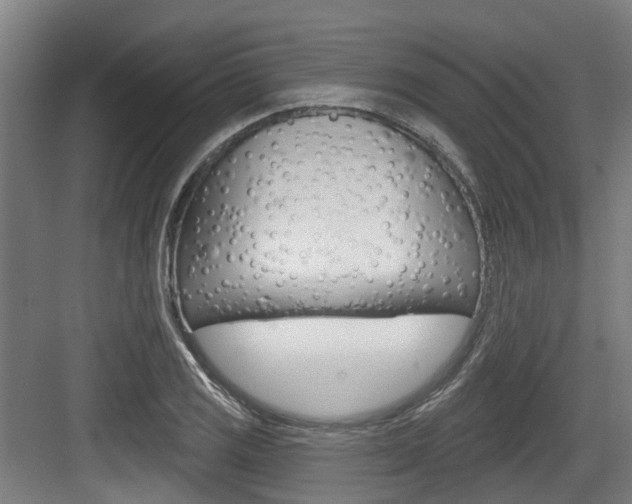 X0000083651125200702120829