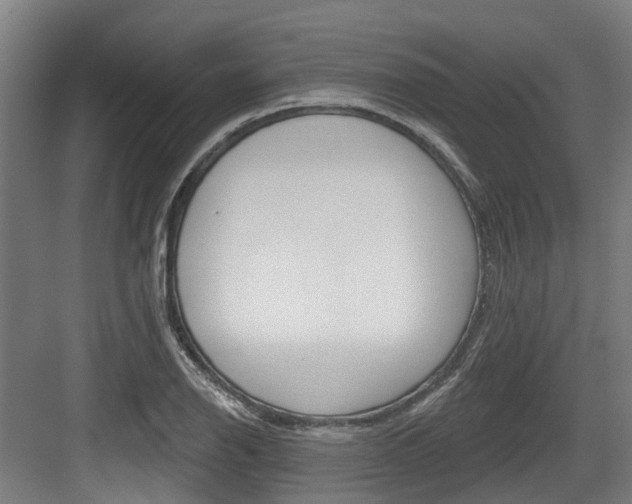 X0000083651126200702120829