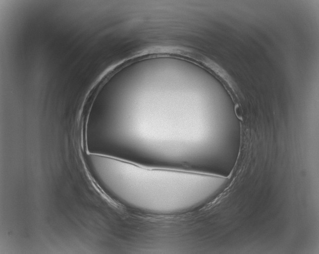 X0000083651127200702120829