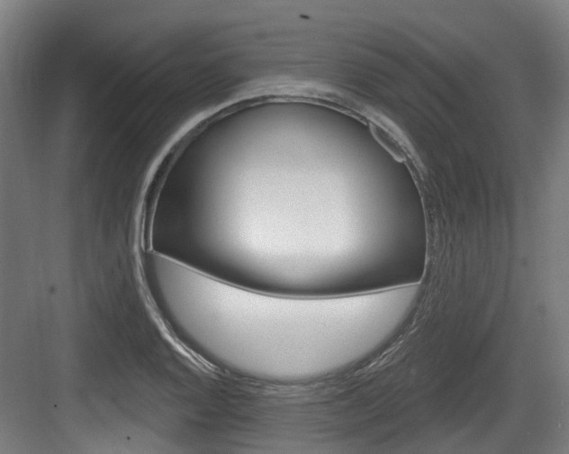 X0000083651128200702120829