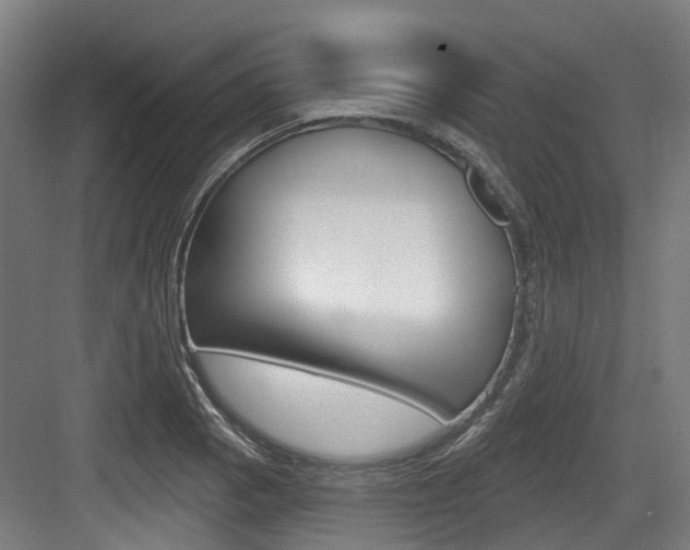 X0000083651129200702120829