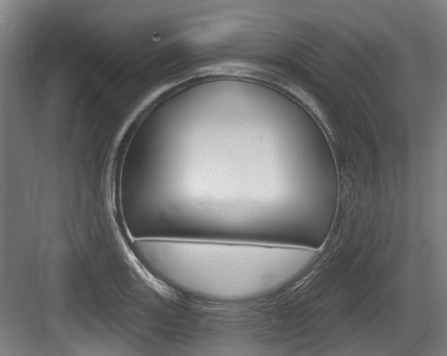 X0000083651131200702120829