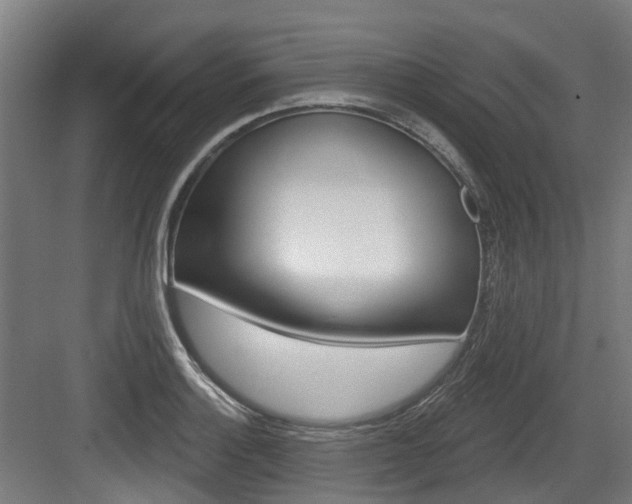 X0000083651132200702120829