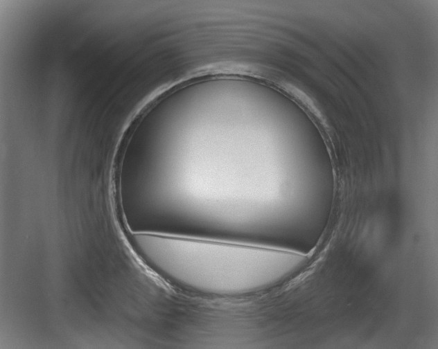 X0000083651133200702120829