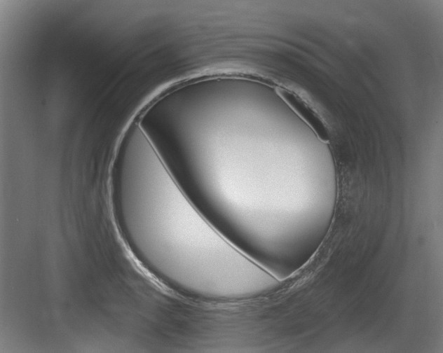 X0000083651134200702120829