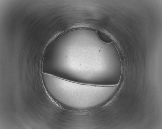 X0000083651137200702120829