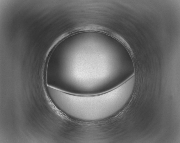 X0000083651138200702120829