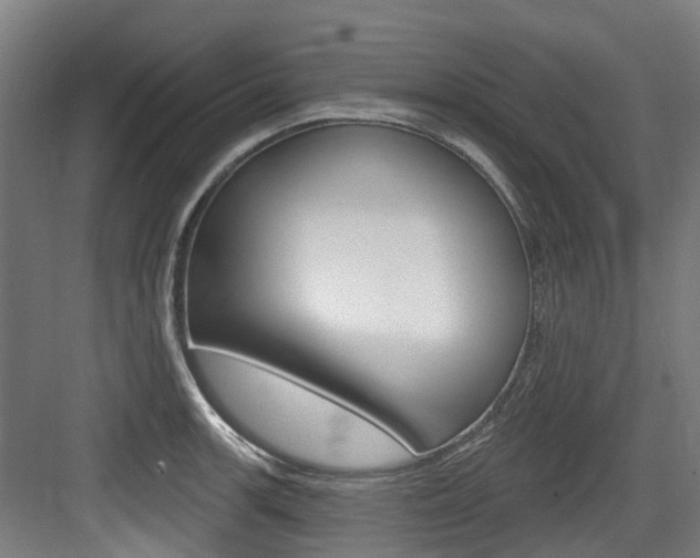 X0000083651139200702120829