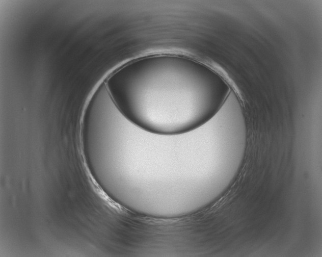 X0000083651140200702120829