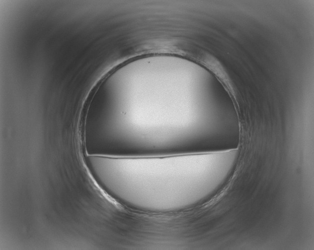 X0000083651141200702120829