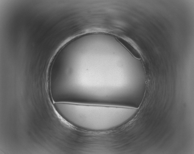 X0000083651143200702120829