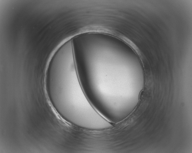X0000083651144200702120829