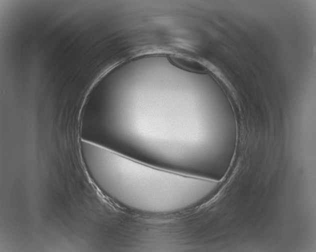 X0000083651145200702120829