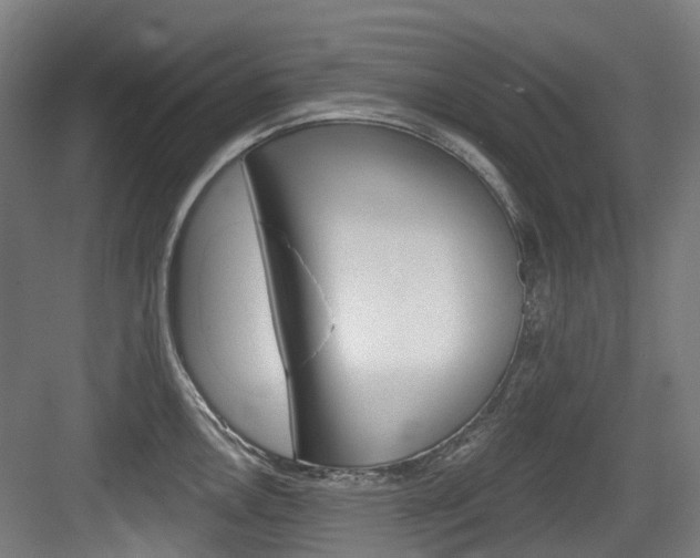X0000083651146200702120829
