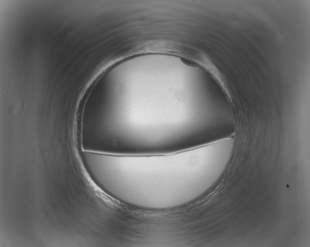 X0000083651147200702120829