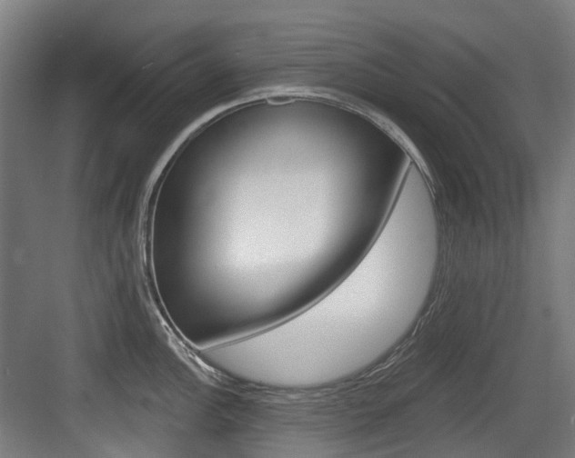 X0000083651148200702120830