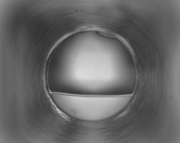 X0000083651149200702120830