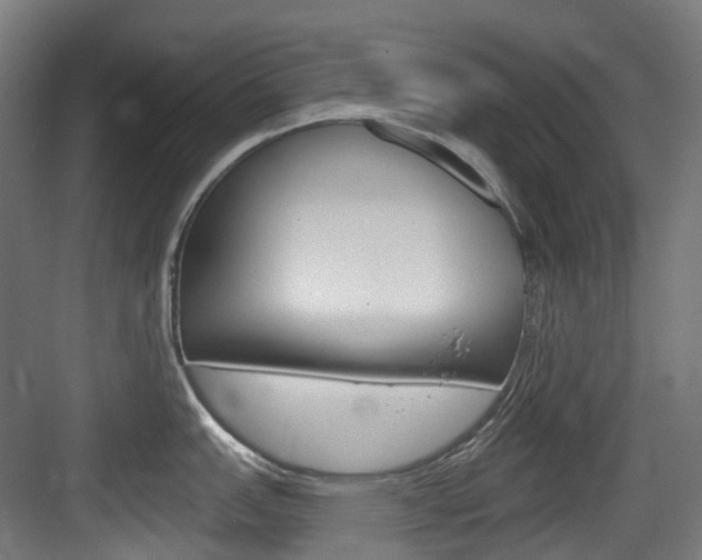 X0000083651151200702120830