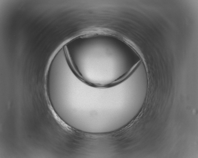 X0000083651152200702120830