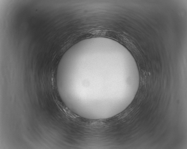 X0000083651154200702120829